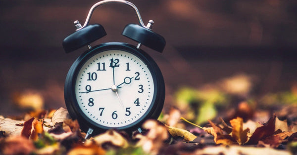 Classic alarm clock surrounded by autumn leaves, representing the change of time and melatonin's role in sleep