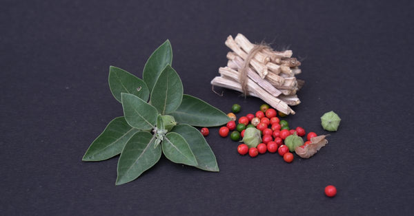 Dried Ashwagandha roots with fresh green leaves and red berries showing how does ashwagandha help with calm