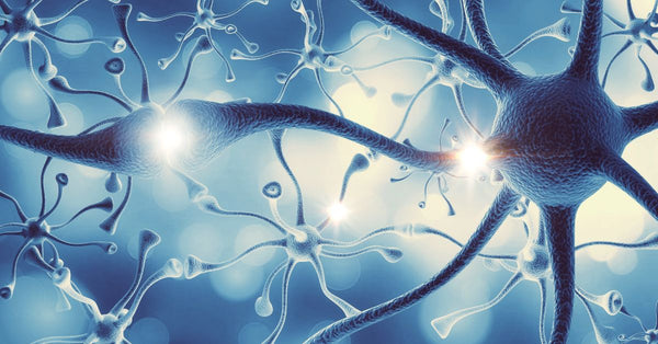 Illustration of neurons and synapses representing how does GABA help you sleep by calming brain activity