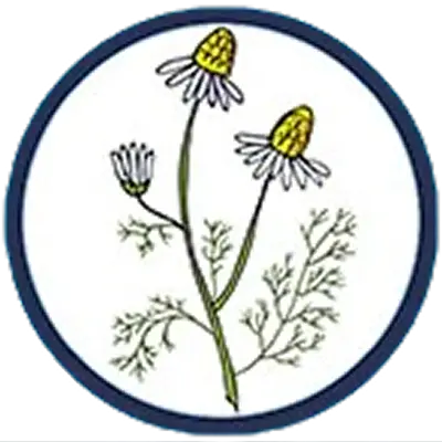 CHAMOMILE