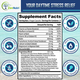 Load image into Gallery viewer, Supplement label for daytime stress relief with various health claims on a blue background.
