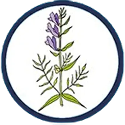SKULLCAP