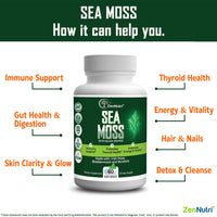 ZenNutri Sea Moss capsules benefits for immune support digestion thyroid health energy and skin clarity and detox