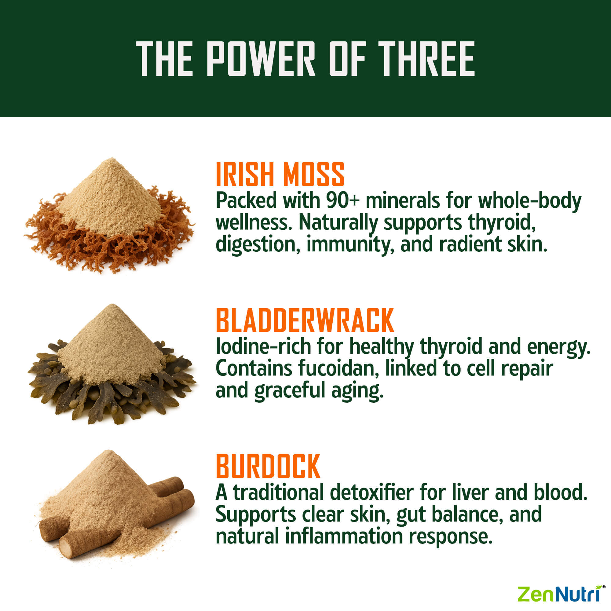 ZenNutri Sea Moss capsules infographic showing Irish moss bladderwrack and burdock powders with benefits