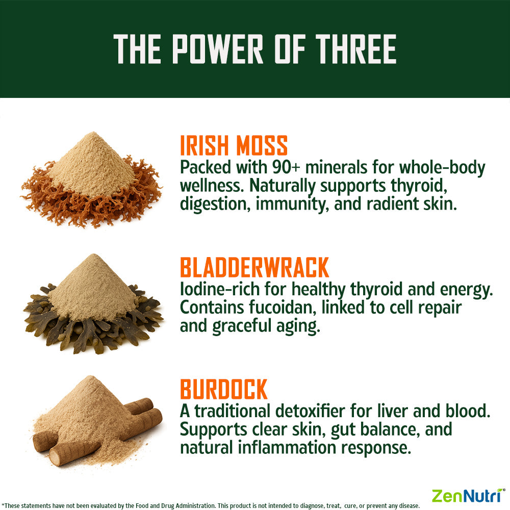 ZenNutri Sea Moss capsules infographic showing Irish moss bladderwrack and burdock powders with benefits