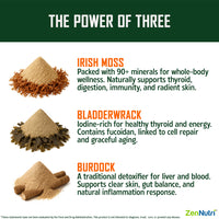 ZenNutri Sea Moss capsules infographic showing Irish moss bladderwrack and burdock powders with benefits