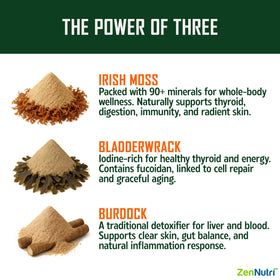Load image into Gallery viewer, ZenNutri Sea Moss capsules infographic showing Irish moss bladderwrack and burdock powders with benefits
